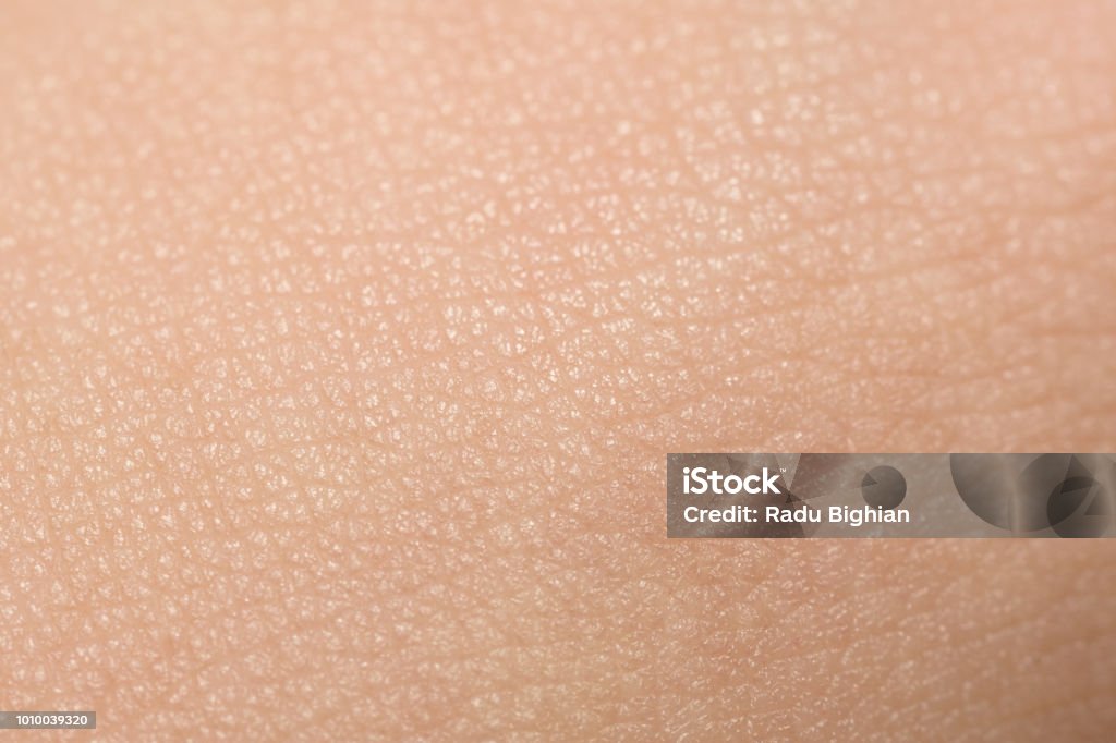 Extreme Close-Up Of Tanned Skin On Male Hand An extreme close-up of tanned skin on male hand. Skin Stock Photo