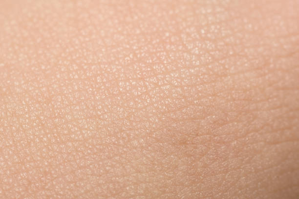 Extreme Close-Up Of Tanned Skin On Male Hand stock photo