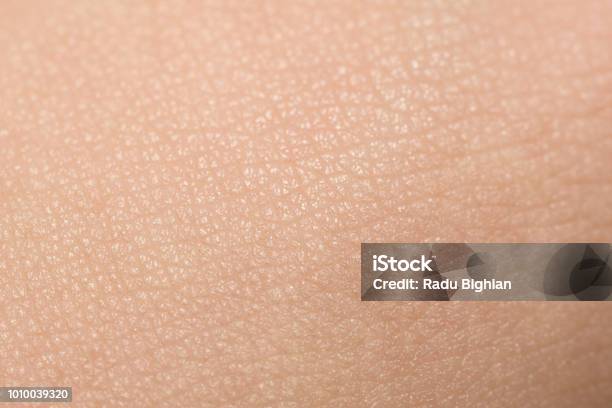 Extreme Closeup Of Tanned Skin On Male Hand Stock Photo - Download Image Now - Skin, Textured, Textured Effect