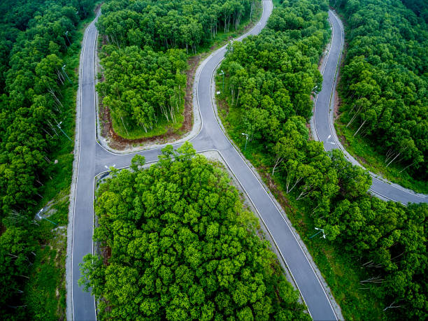 istock Aerial view to sport tracks 1010039902