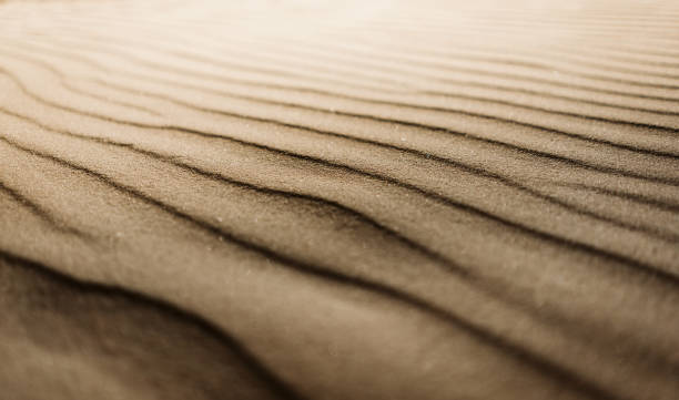 istock Full Frame Shot Of Sand 1010040486