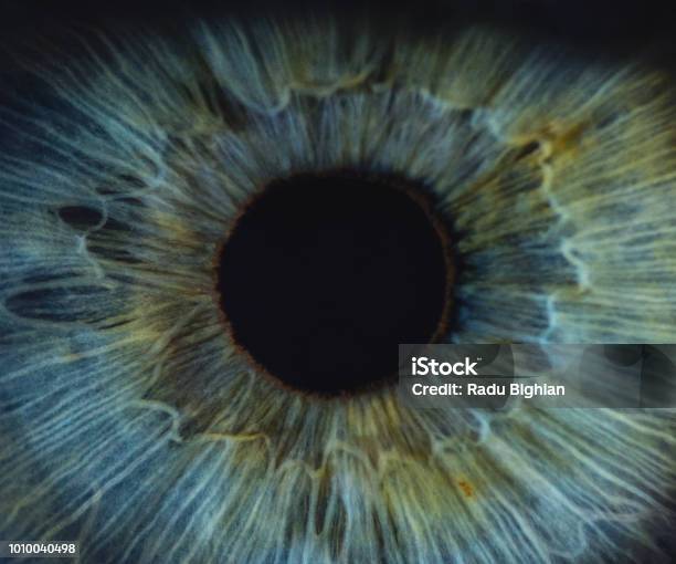 Detailed Macro Of Blue Woman Human Eye Stock Photo - Download Image Now - Eye, Close-up, Macrophotography