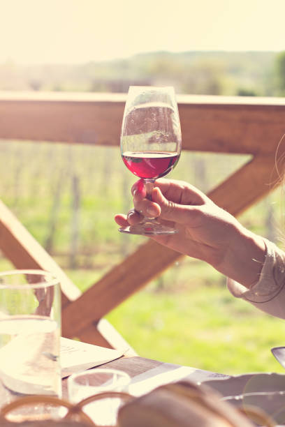 istock Glasses with wine. Red, pink, white wine in glasses. 1010040500