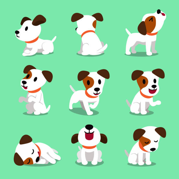 postać z kreskówki jack russell terrier pies pozuje - spotted dog stock illustrations