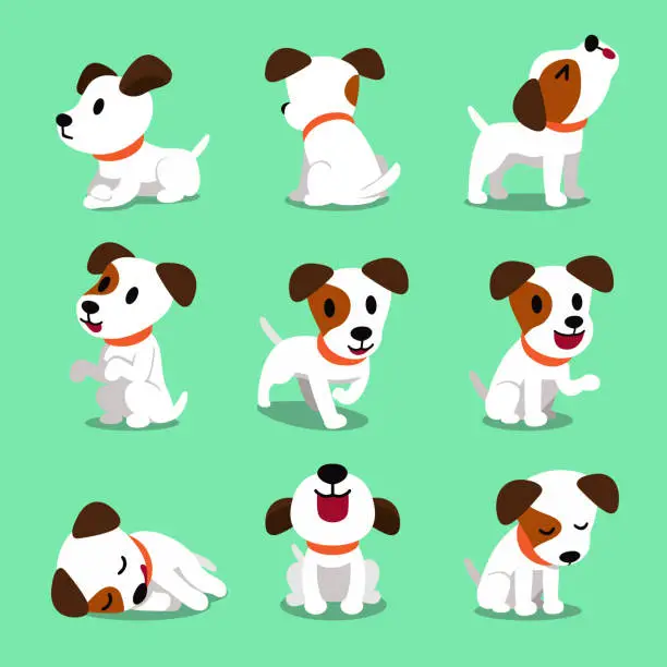 Vector illustration of Cartoon character jack russell terrier dog poses