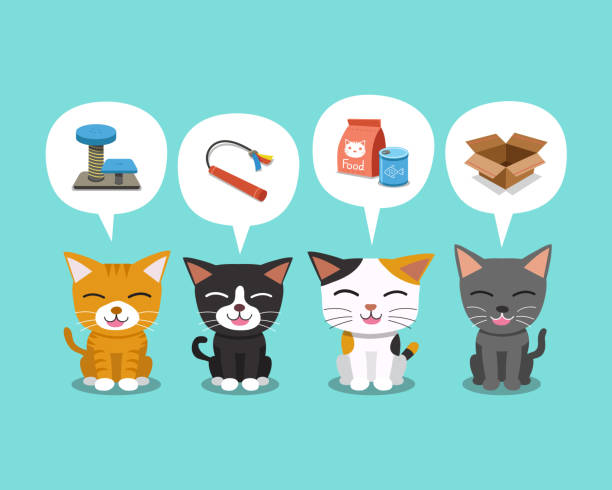 ilustrações, clipart, desenhos animados e ícones de conjunto de gatos bonitos de personagem de desenho animado e bolhas do discurso com acessórios - kitten domestic cat isolated tabby