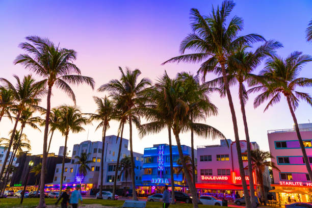 istock Ocean Drive night in Miami Beach 1010068800