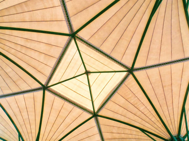 istock Low Angle View of Geometric Roof Structure 1010069456