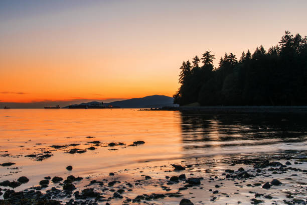istock Orange Summer Sunset over a Bay In Vancouver, BC, Canada. 1010074962