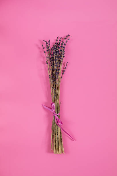 istock Beautiful dried lavender bouquet on pink surface 1010087324