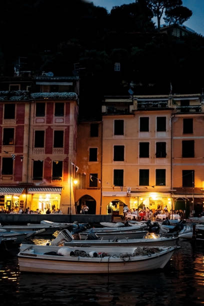 istock Portofino at night 1010087710