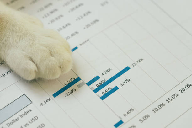 negocios, inversiones o concepto error financiero, gato blanco patas en prited barra gráfico activo o stock valor datos - diagram pie chart analyzing chart fotografías e imágenes de stock