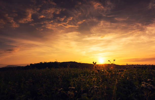 istock Sunset in Rural Area over the Field. 1010099734