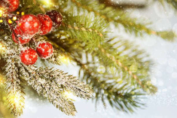 istock Holiday Christmas background 1010115322
