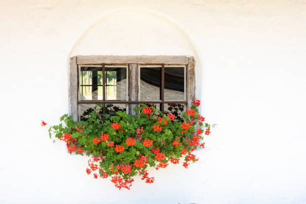 Vintage window of an historic old house, decorated with flowers
