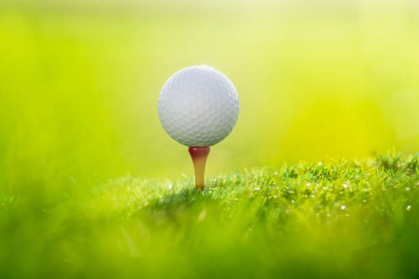 istock Close up ball on the green grass background 1010124116