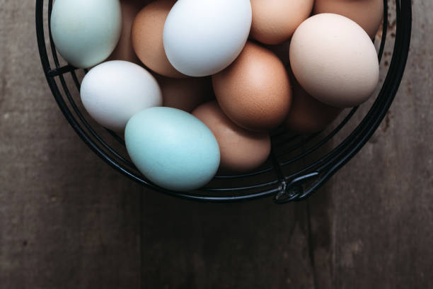 Multi-colored organic eggs from free range chickens on a rustic barn wood background.  Multi-colored organic eggs from free range chickens on a rustic barn wood background.  A brown, white, and a baby blue egg in a row.
