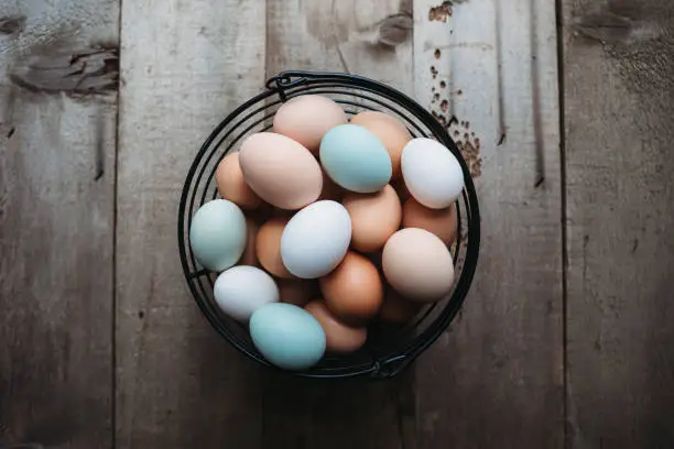 Photo of Colorful Farm Fresh Eggs on Rustic Wood Background