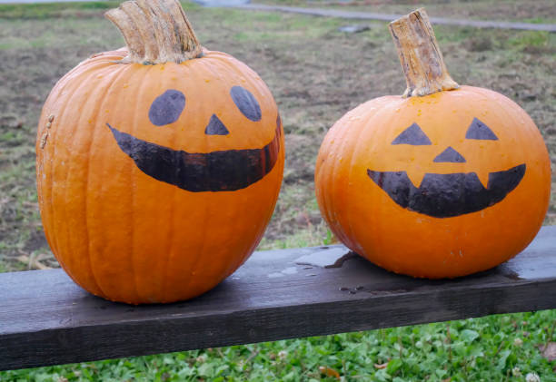 Halloween concept : Two pumpkins painted as halloween face, placed on wooden table at a farm. stock photo