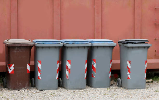istock rubbish bins in front of a container 1010159724