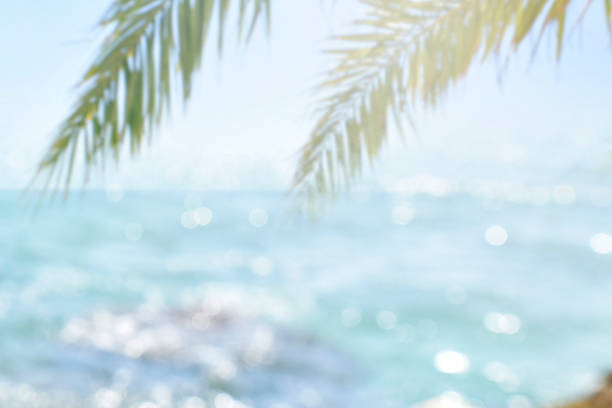 istock Blur beautiful nature green palm leaf on tropical beach with bokeh sun light wave abstract background 1010176856