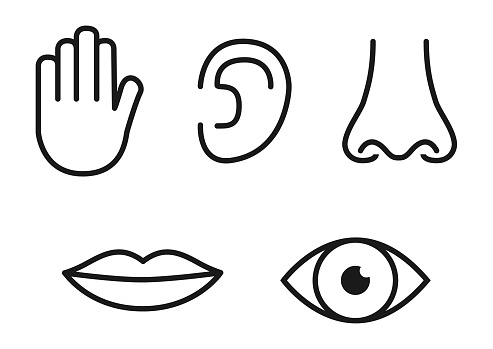 Outline icon set of five human senses: vision (eye), smell (nose), hearing (ear), touch (hand), taste (mouth with tongue).