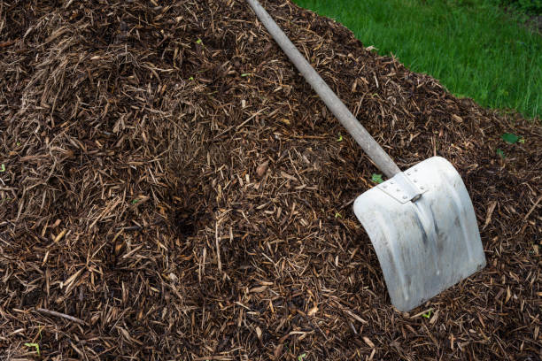 istock shovelor spade in gardening earth, tool for farming 1010182794