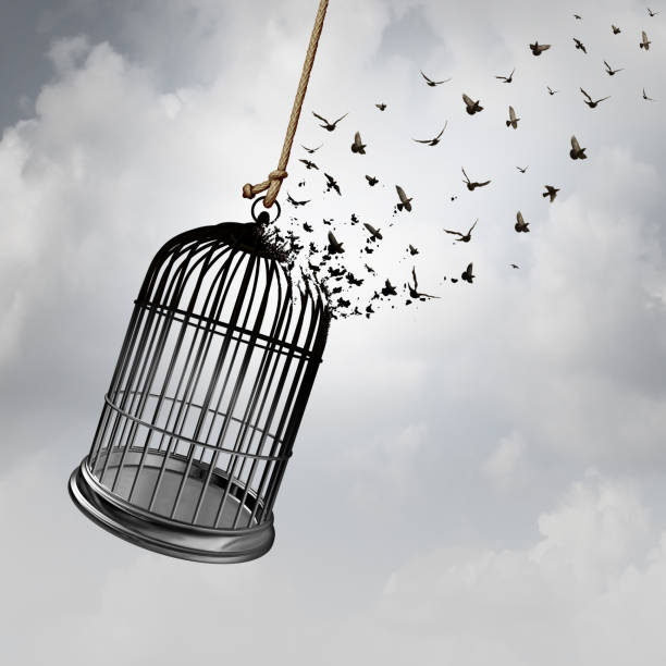 自由の考え - birdcage ストックフォトと画像