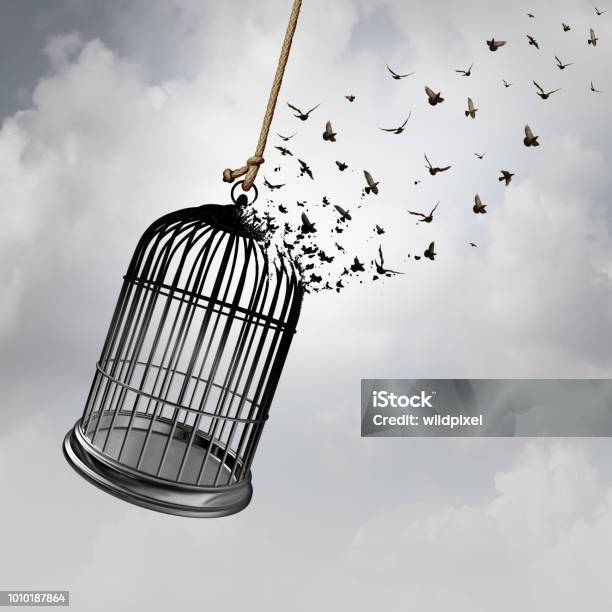 Freedom Idea Stock Photo - Download Image Now - Freedom, Birdcage, Cage