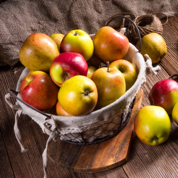istock Fresh autumn apples in the basket 1010191402