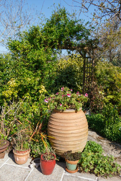 istock Landscaped garden 1010191566