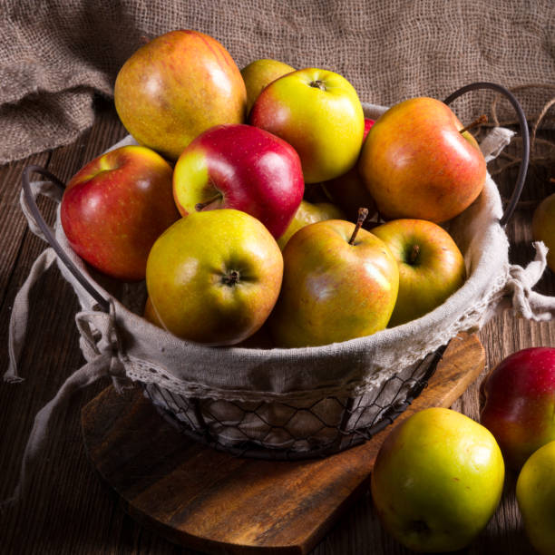 istock Fresh autumn apples in the basket 1010191638