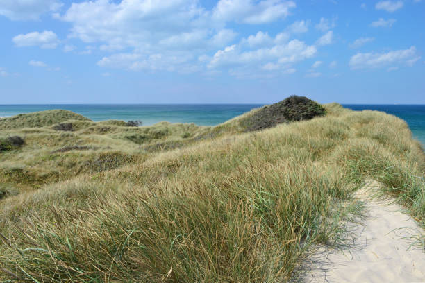 istock dune landscape in Denmark, national park thy 1010192014