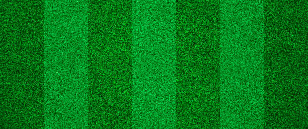 istock Green grass football texture 1010202310