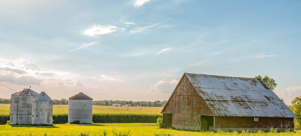 Countryside midwestern farm web banner