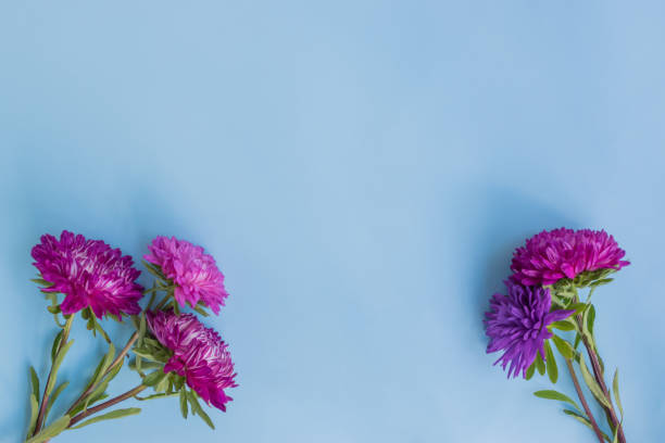 istock Bouquet with pink flowers on blue background 1010208580