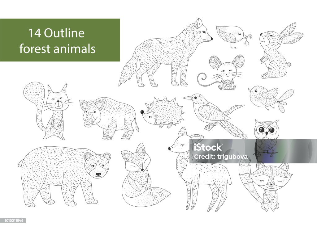 Big set of hand drawn forest illustraitions with color cartoon animals. Big set of hand drawn forest illustraitions with outline animals on a white background. Woodland icons. Fox stock vector