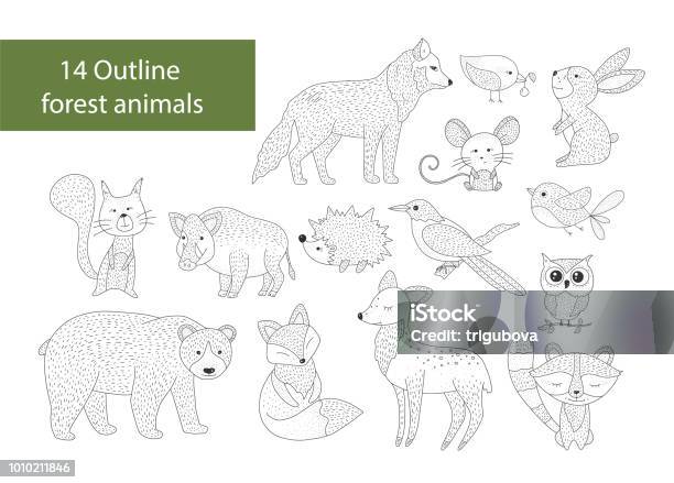 Big Set Of Hand Drawn Forest Illustraitions With Color Cartoon Animals Stock Illustration - Download Image Now