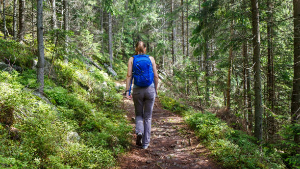 istock Young smiling woman with backpack hiking in forest 1010212130