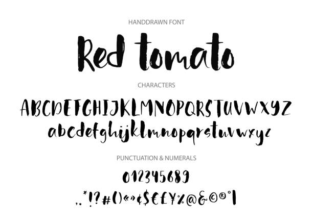 ilustrações de stock, clip art, desenhos animados e ícones de red tomato. handdrawn ink brush font. - english tomato