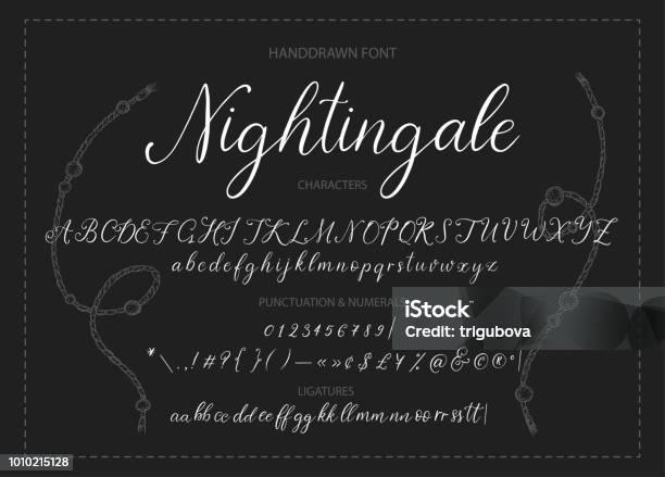 Nachtigall Handgezeichneten Kalligraphische Vektorschrift Stock Vektor Art und mehr Bilder von Maschinenschrift