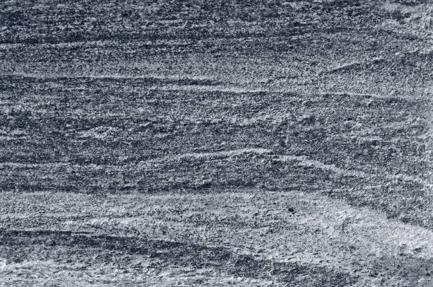 istock Migmatitic gneiss migmatite rock bands pattern, grey light dark banded granite texture macro closeup, large detailed textured silver gray horizontal background, coarse grained feldspar, quartz, crystals, mica minerals metamorphic gneissic foliation struct 1010221134