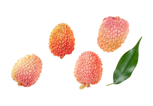 istock Top view of lychee isolated on white background 1010226720
