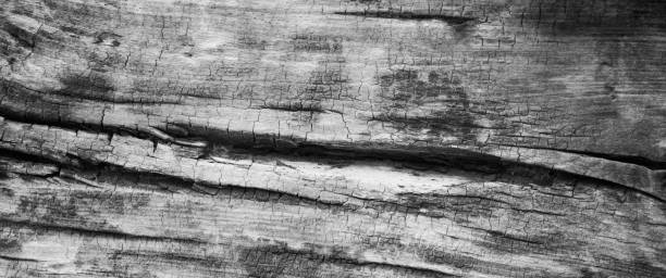 istock Dark grunge  wooden texture background. 1010230746