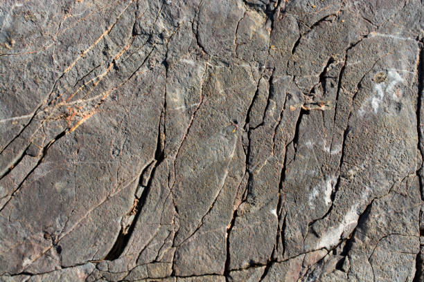 istock Rock or Stone as  nature background texture 1010231124