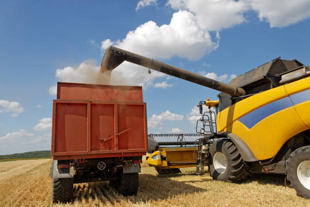 istock Combine harvester load wheat in the truck 1010241528