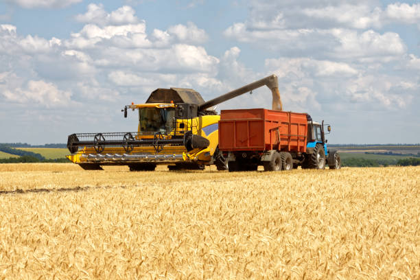 istock Combine harvester load wheat in the truck 1010241588