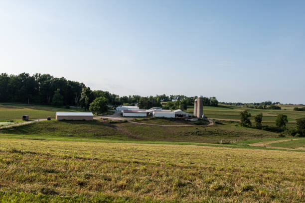 istock Ag landscape of a small dairy farm 1010244244