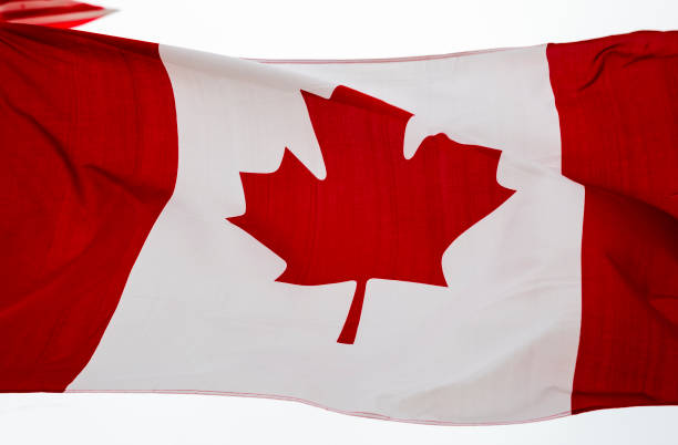 istock Flag of Canada Waving in the Wind 1010244620