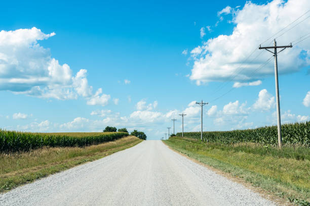 istock Empty country road in corn country 1010249354